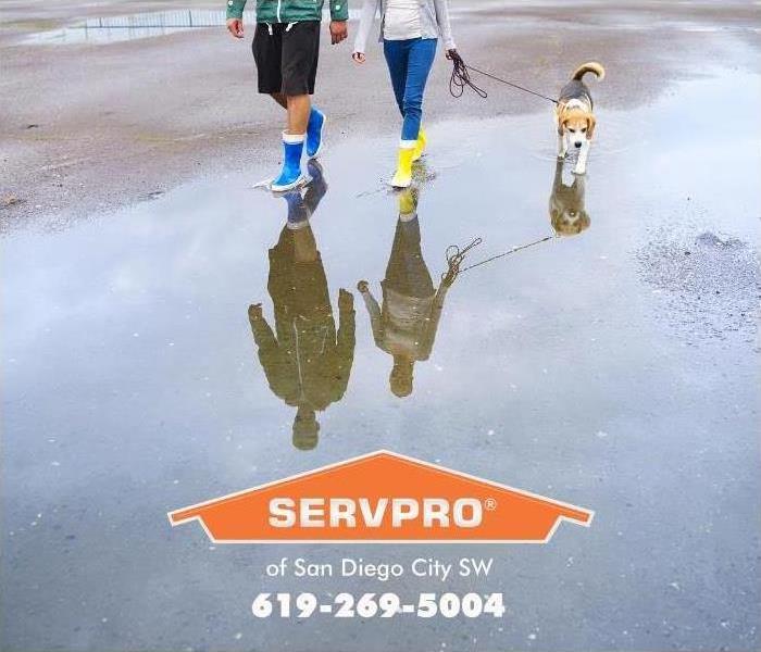 couple walking through large puddle with dogs 