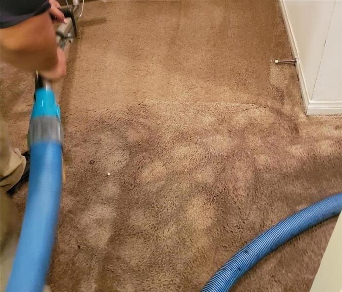 A photo of wet carpet.