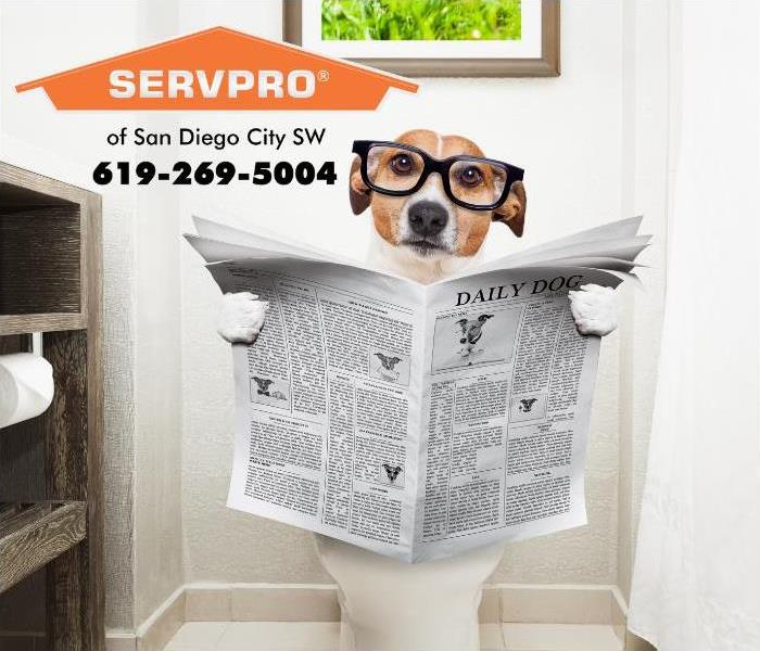 A dog is shown wearing black-rimmed eyeglasses and is sitting on the toilet while reading the newspaper. 
