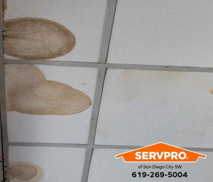 The ceiling in a commercial building shows water stains from water damage.